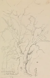 On the Newport Road, 12 February 1826