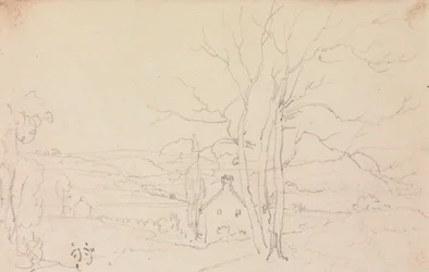 Sketch of a Large Tree and a Cottage
