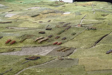 Diorama of the Battle of Waterloo Showing Troops Positioned as at 19.45 hrs on 18th June, 1815 (detail)