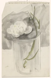 White Flower in a Glass