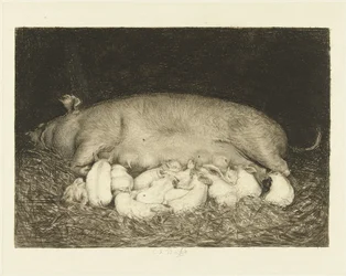 Sow with Piglets Lying in a Stable