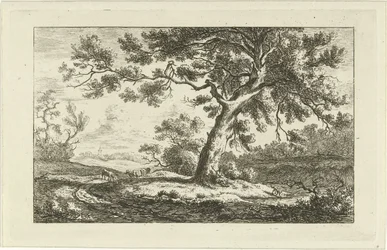 Resting Shepherd