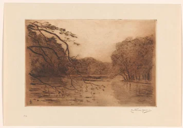 Pond in the Hague Forest