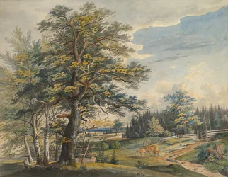 Wooded Landscape with Stag