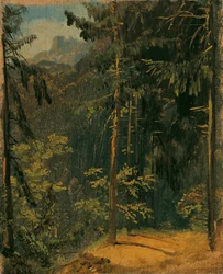 Forest Path in the Harz