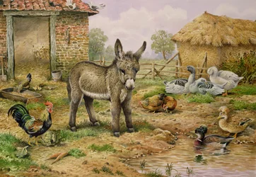 Donkey and Farmyard Fowl