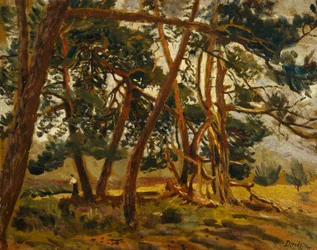 Female in Forest Landscape