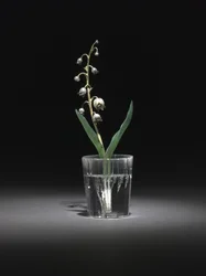 Lily of the Valley, late 1800s - early 1900s