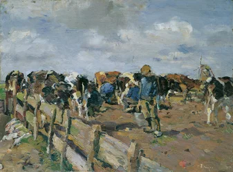 Milking the Cows