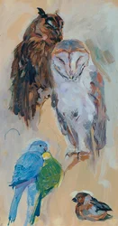 Animal Study from Schönbrunn