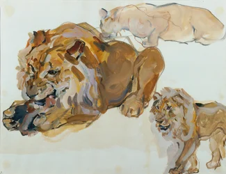 Animal Study from Schönbrunn