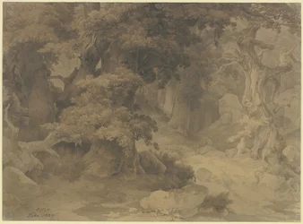 Oak Forest