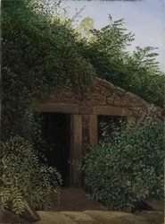 An Overgrown Mineshaft