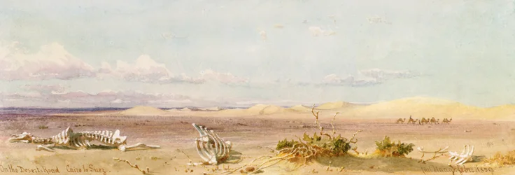Sand Hills in the Desert, Cairo, Suez