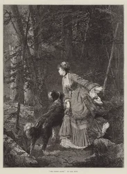 The Forest Glade