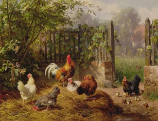 Rooster with Hens and Chicks