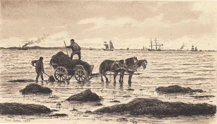 Farmers Driving Seaweed