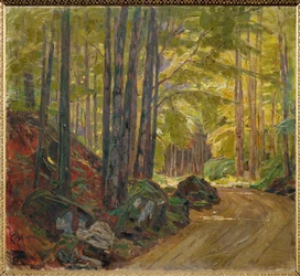 Path Through the Woods