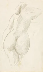 Back View of Female Nude
