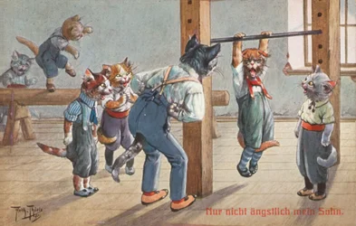 Humorous cat postcard