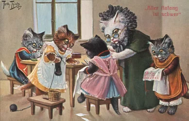 Humorous Cat Postcard