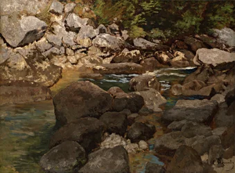 Mountain Stream with Rock Blocks