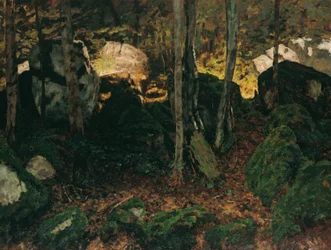 Forest Interior near Saut du Doubs