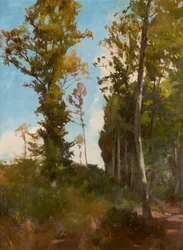 Forest Clearing near Purkersdorf