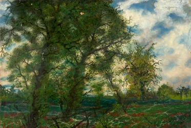Spring Landscape