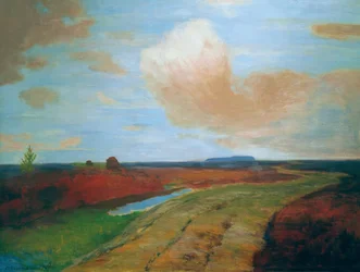 Evening Mood in the Moor