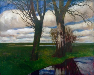 Moorland Landscape