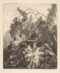Foliage with Reeds