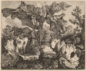 Small Plant Study: a Burdock, Delicate Tufts of Grass at Left