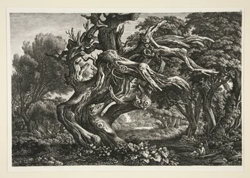 Landscape