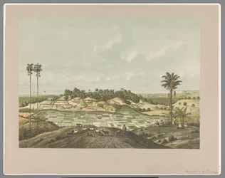 North Coast near Semarang