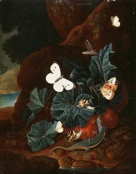 A Forest Floor Still Life with a Lizard, Butterflies, Snail and a Snake