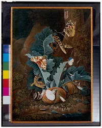 Forest Floor Still Life with Snails, Snakes, Lizards and Butterflies