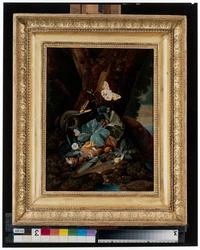 Forest Floor Still Lifes with Snails, Snakes, Lizards and Butterflies