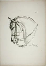 Detail of Horse