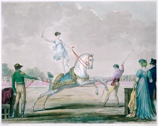 Exercises of the Circus Horse
