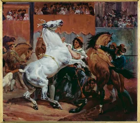 The Start of the Horserace