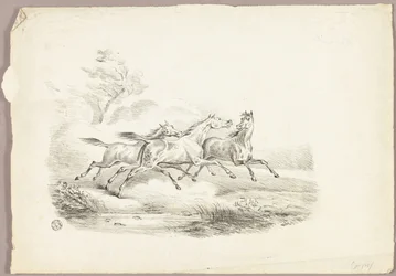 Three Horses Running