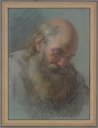 Head of a Bearded Old Man