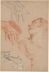 Study Sheet