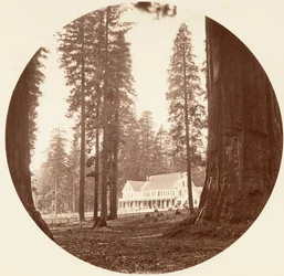 W. C. Bryant - Calaveras Grove, ca. 1878