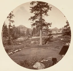 Yosemite National Park, California