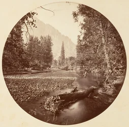 Yosemite National Park, California, ca. 1878.