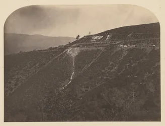 (Pine Tree Mine)