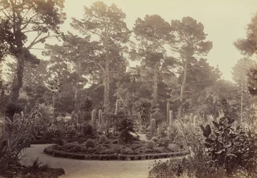 [Arizona Garden, Hotel del Monte, Monterey]