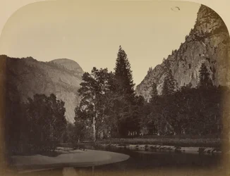 Camp Grove - Yosemite